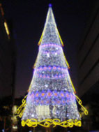 e0155405_236052.jpg