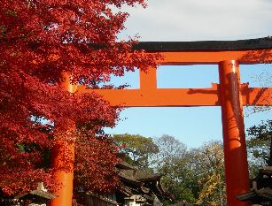 c0149408_951494.jpg