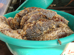 d0126508_3102760.jpg