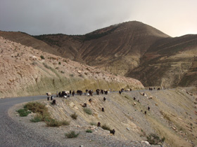d0126508_3242859.jpg