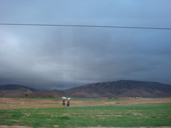d0126508_325223.jpg