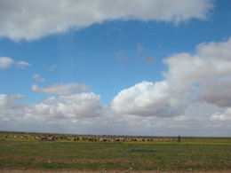 d0126508_381466.jpg