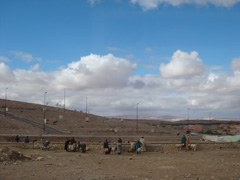 d0126508_391676.jpg