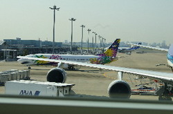 e0163212_2033985.jpg