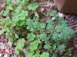 e0163212_2054431.jpg