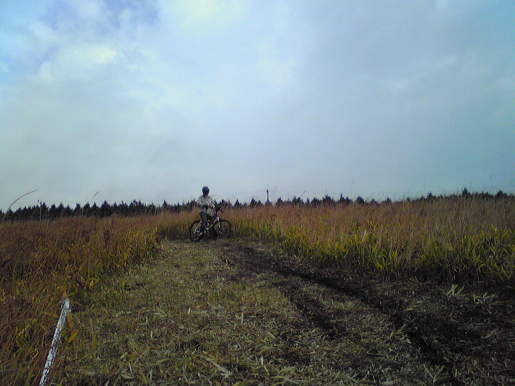 f0092416_1342227.jpg
