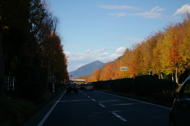 c0107924_18501410.jpg