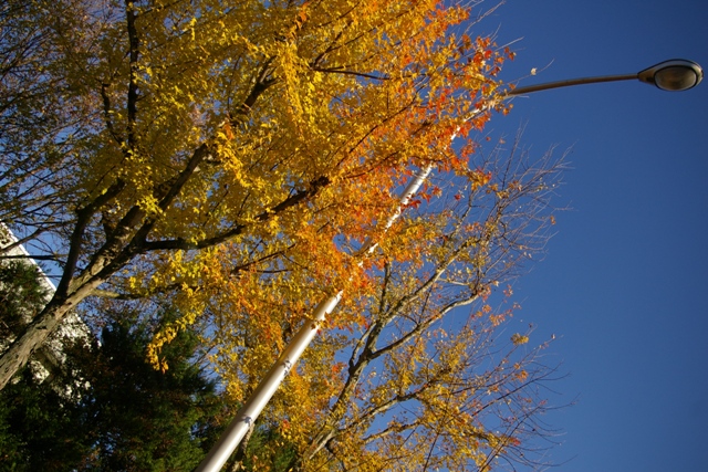c0107924_18504020.jpg