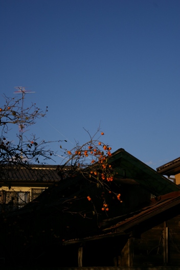 c0107924_19153427.jpg