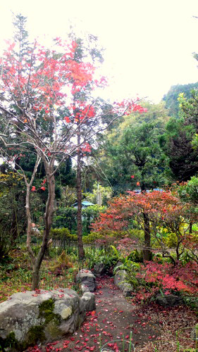 f0060424_12184958.jpg