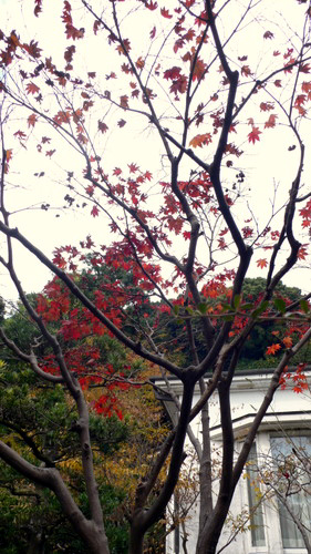 f0060424_12193715.jpg