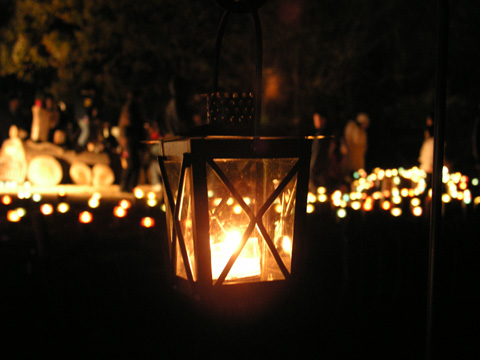 e0071225_823398.jpg