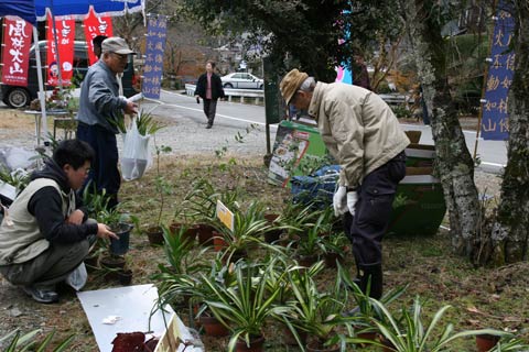 f0177529_0483328.jpg