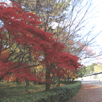 d0033734_1042998.gif