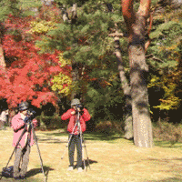 d0033734_10431183.gif