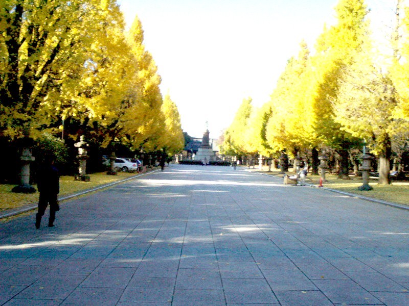 b0012636_20221720.jpg