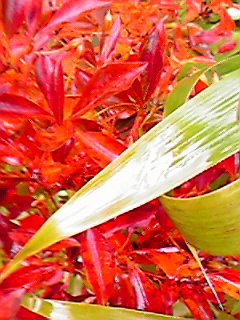 b0159236_13411891.jpg