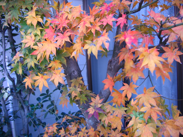 b0088037_2238352.jpg
