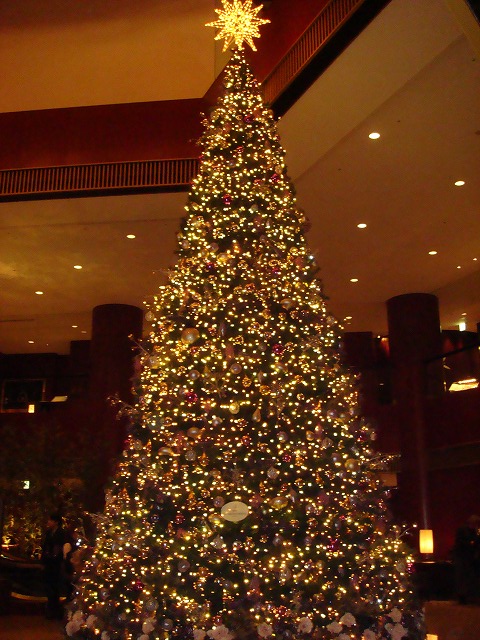 a0046339_21393060.jpg