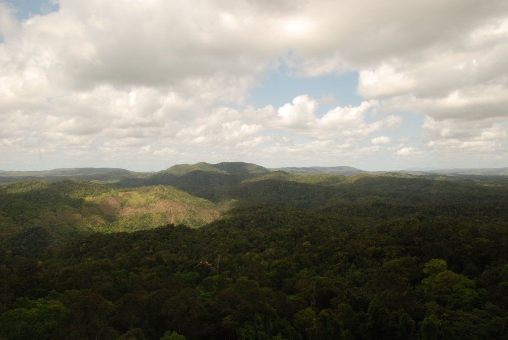 f0168041_21513249.jpg