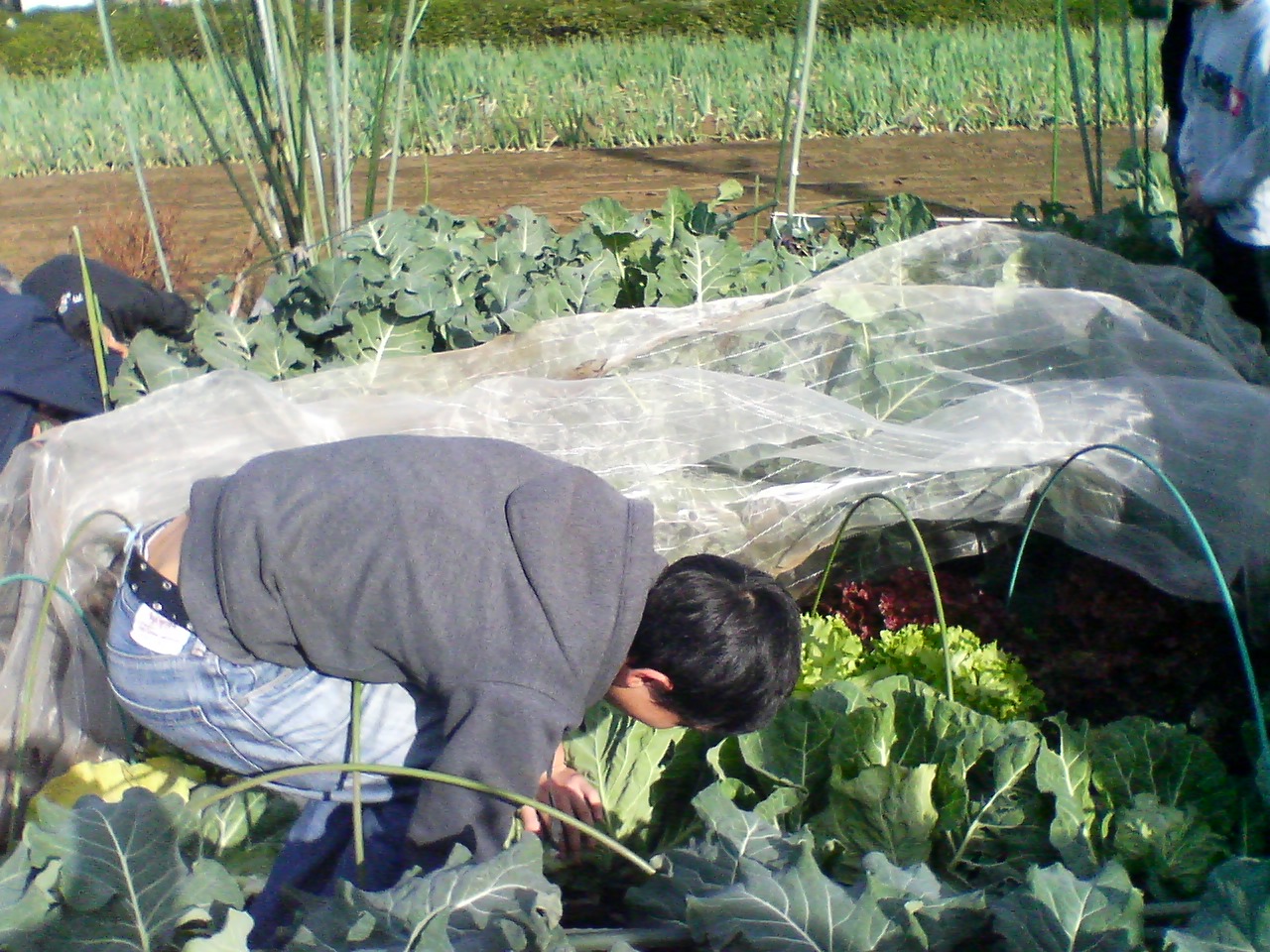 d0151144_112301.jpg