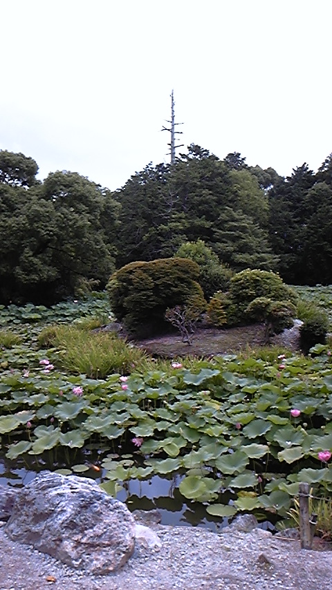 b0139547_2333531.jpg