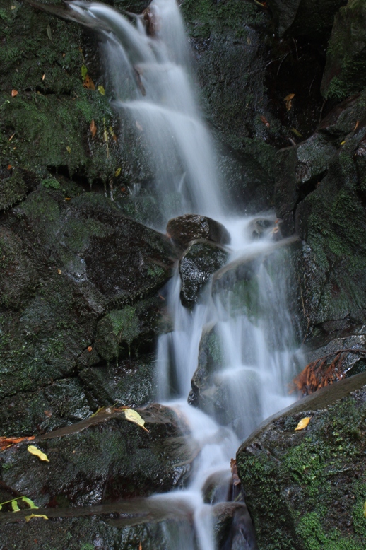 c0163751_9463967.jpg