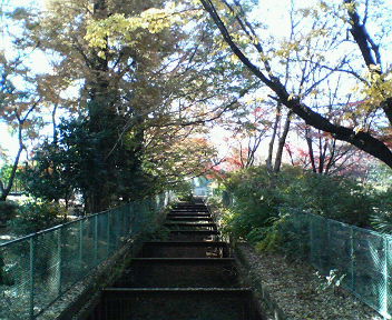 d0124952_23432524.jpg
