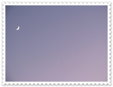 c0020653_20253643.jpg