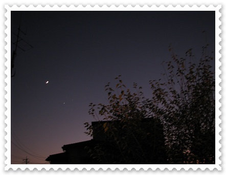 c0020653_20275520.jpg