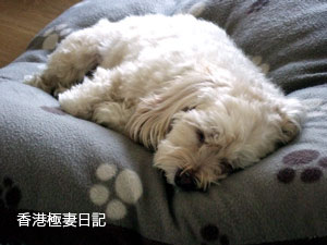 f0190653_9171572.jpg