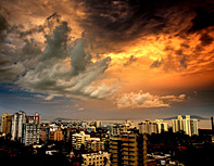 d0136354_8161421.jpg