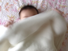 b0054956_2040164.jpg