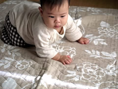 b0054956_20411397.jpg