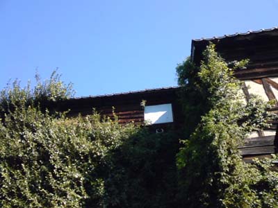 f0168256_874165.jpg