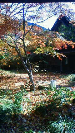 e0082758_15243287.jpg