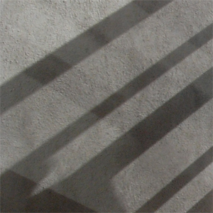 b0068959_21162281.jpg