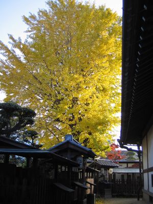 c0167359_916735.jpg