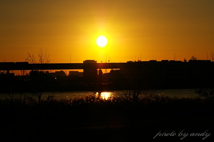 f0179061_6411140.jpg