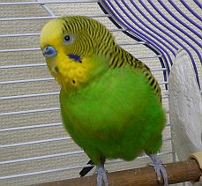 f0196665_021548.jpg