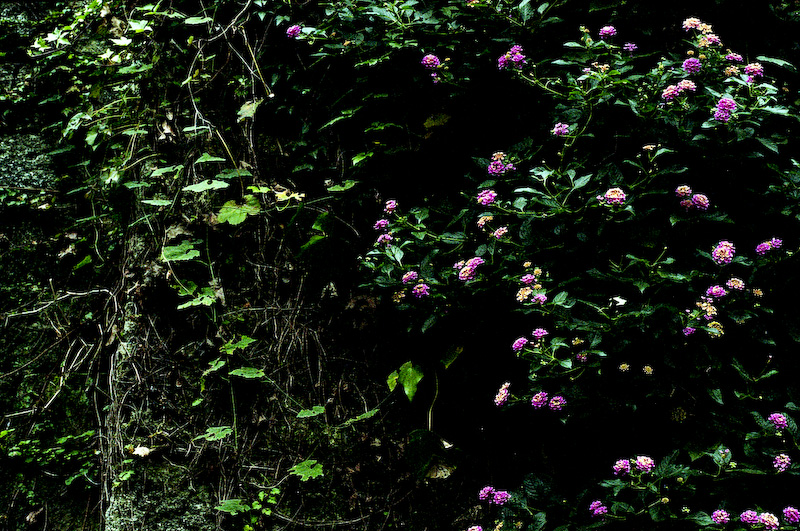 c0084666_23372090.jpg
