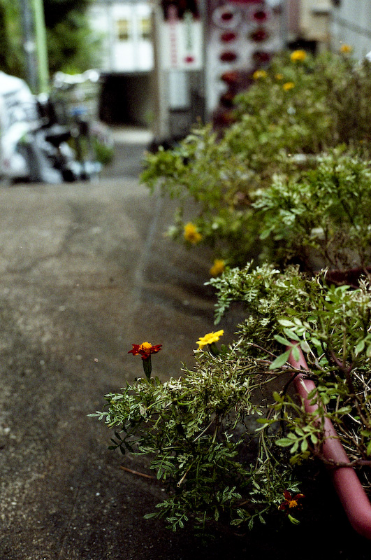 c0084666_2337477.jpg