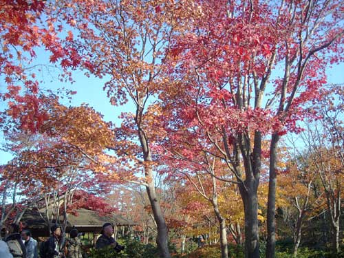 e0097770_21342834.jpg