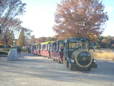 e0097770_2136632.jpg