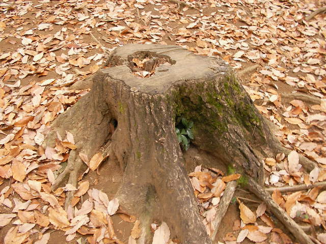 b0109874_1345897.jpg