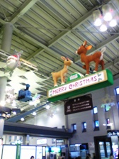 c0102375_412135.jpg
