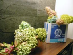 f0070275_8565673.jpg