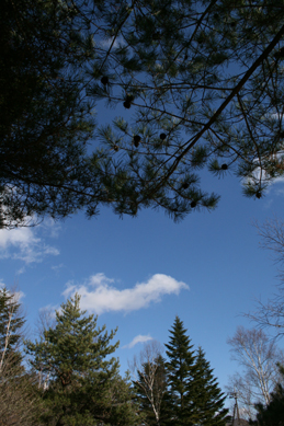 c0156679_16194187.jpg