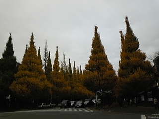 f0014183_11283324.jpg