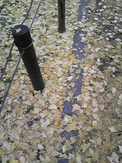 f0014183_1175021.jpg
